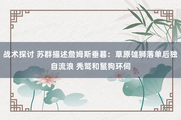 战术探讨 苏群描述詹姆斯垂暮：草原雄狮落单后独自流浪 秃鹫和鬣狗环伺