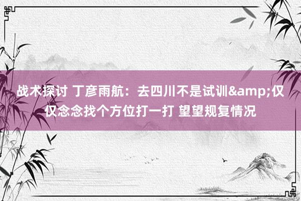 战术探讨 丁彦雨航：去四川不是试训&仅仅念念找个方位打一打 望望规复情况