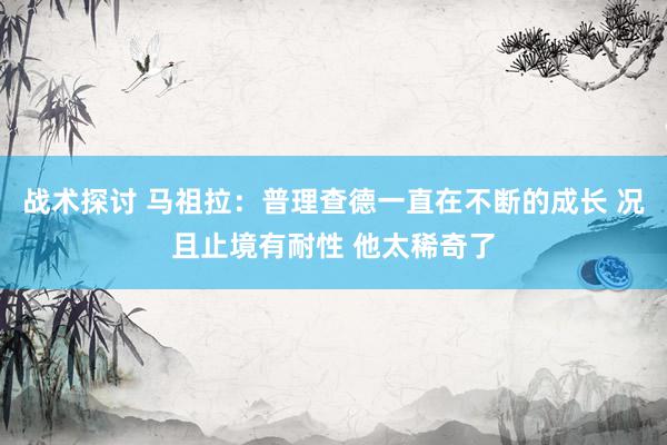 战术探讨 马祖拉：普理查德一直在不断的成长 况且止境有耐性 他太稀奇了